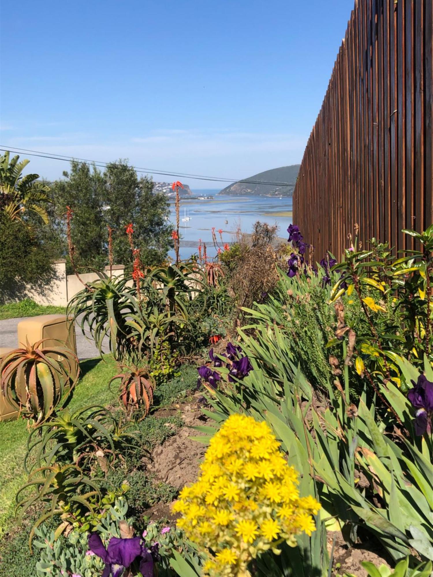 De View Bed and Breakfast Knysna Exteriör bild