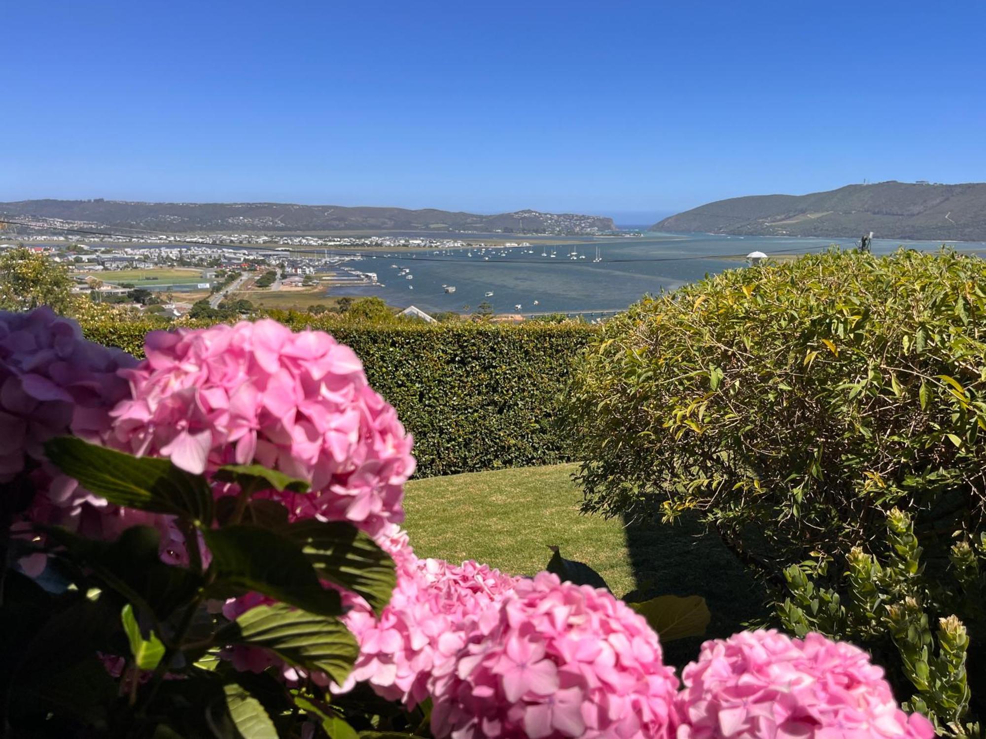 De View Bed and Breakfast Knysna Exteriör bild